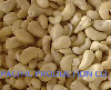 Vietnam Cashew nut