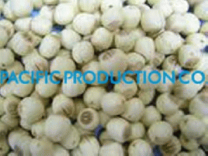 Vietnam Lotus seed