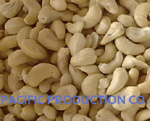 Vietnam Cashew nut