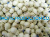 Vietnam Lotus seed