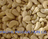 VIETNAM CASHEW NUT